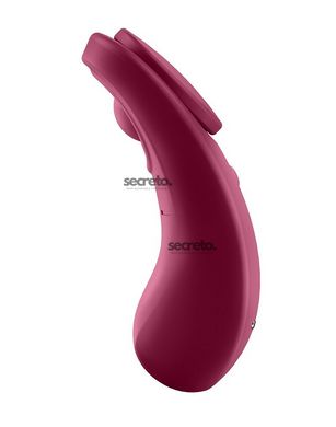 Смарт-вібратор у трусики Satisfyer Sexy Secret SO4536 фото