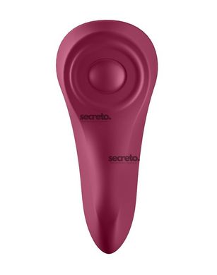 Смарт-вібратор у трусики Satisfyer Sexy Secret SO4536 фото