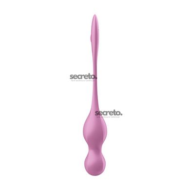 Вагинальные шарики с вибрацией Satisfyer Love Birds 1 Connect App Pink SX0570 фото