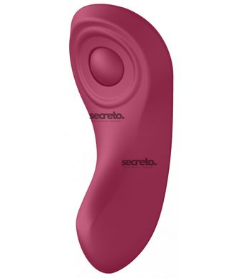 Набір Satisfyer Partner Box 1 (вібратор для пар Double Joy + вібратор у трусики Sexy Secret) SO7143 фото