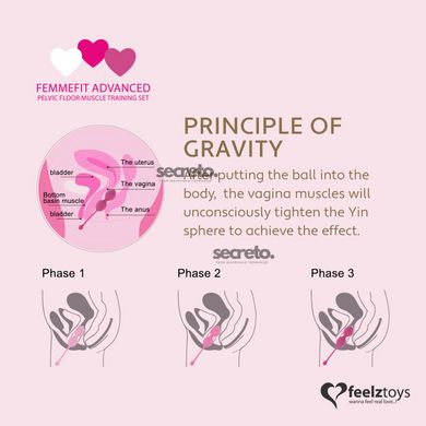 Набір вагінальних кульок для просунутих FeelzToys - FemmeFit Advanced Pelvic Muscle Training Set SO5067 фото