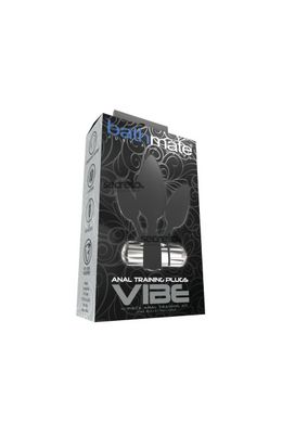 Набір анальних вібропробок Bathmate Anal Training Plugs VIBE, діаметр 2,5 см - 3,1см - 3,8см SO3360 фото